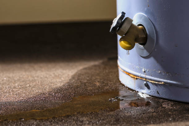 Best Mold removal after water damage  in El Segundo, CA