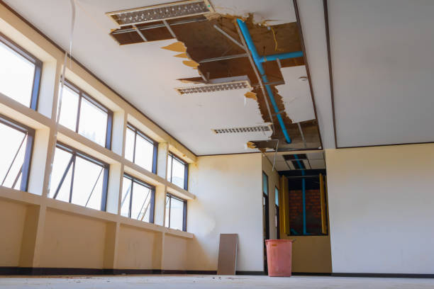 Best Fire Damage Restoration  in El Segundo, CA