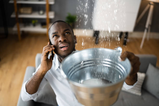 Best Water damage restoration near me  in El Segundo, CA