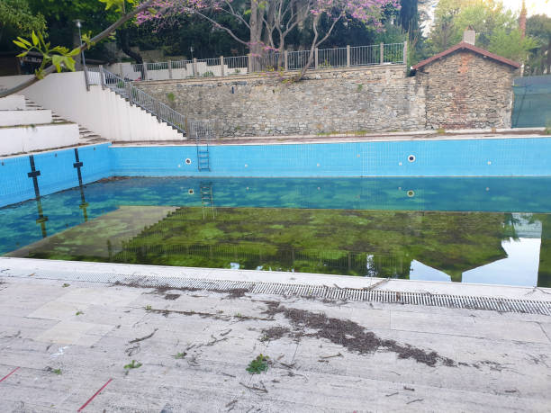 Best Flood restoration services  in El Segundo, CA