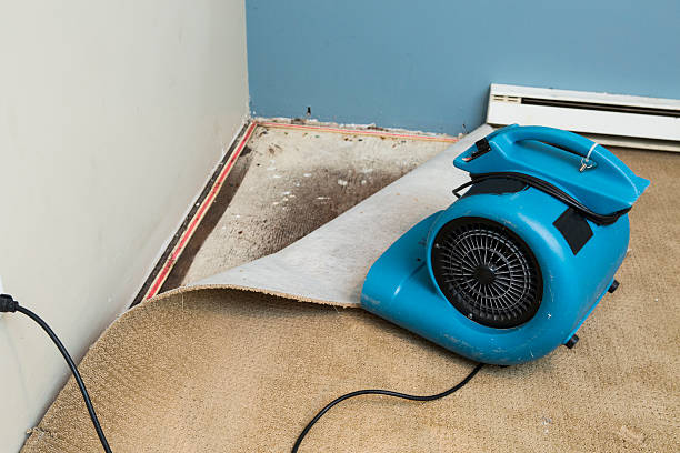 Best Residential water damage restoration  in El Segundo, CA